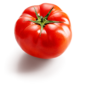 Улаан лооль