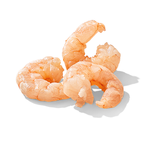 Shrimp